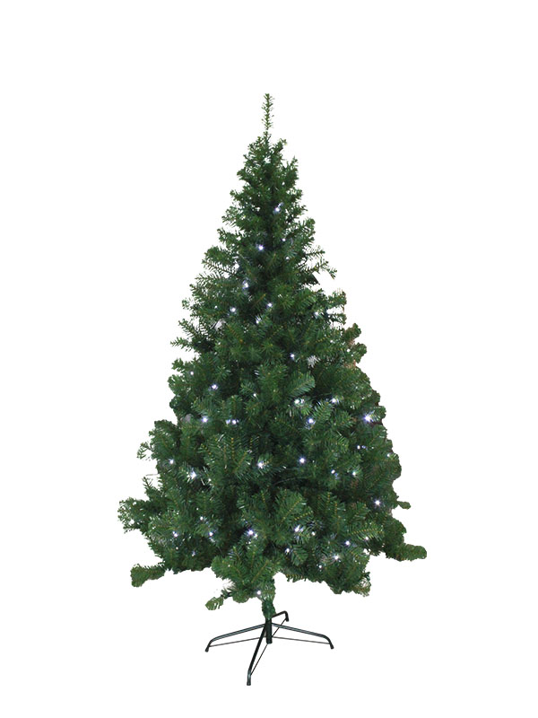 Pokok Krismas-PV18150