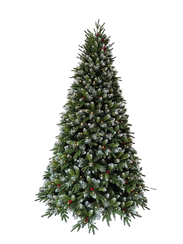 Pokok Krismas-PESW210002