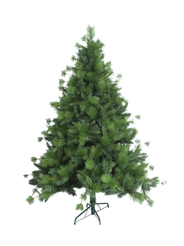 Pokok Krismas-MP120058
