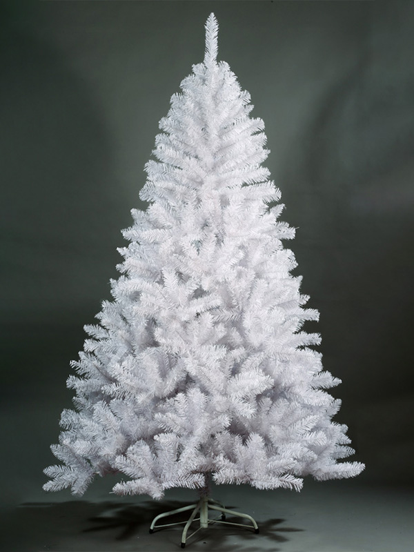 Pokok Krismas biasa 9A3A8649