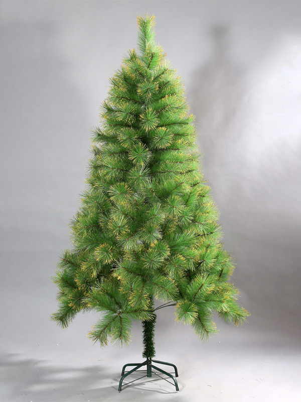 Pokok Krismas biasa 9A3A8670