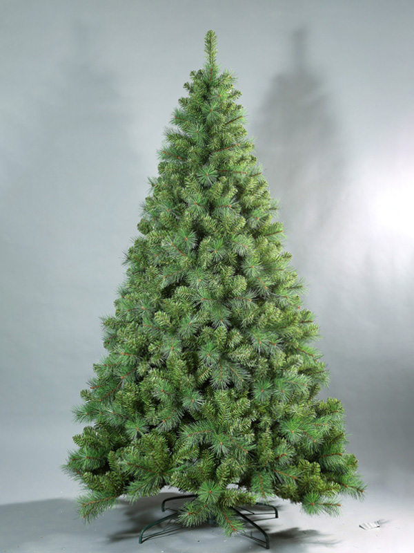 Pokok Krismas Biasa 9A3A8676