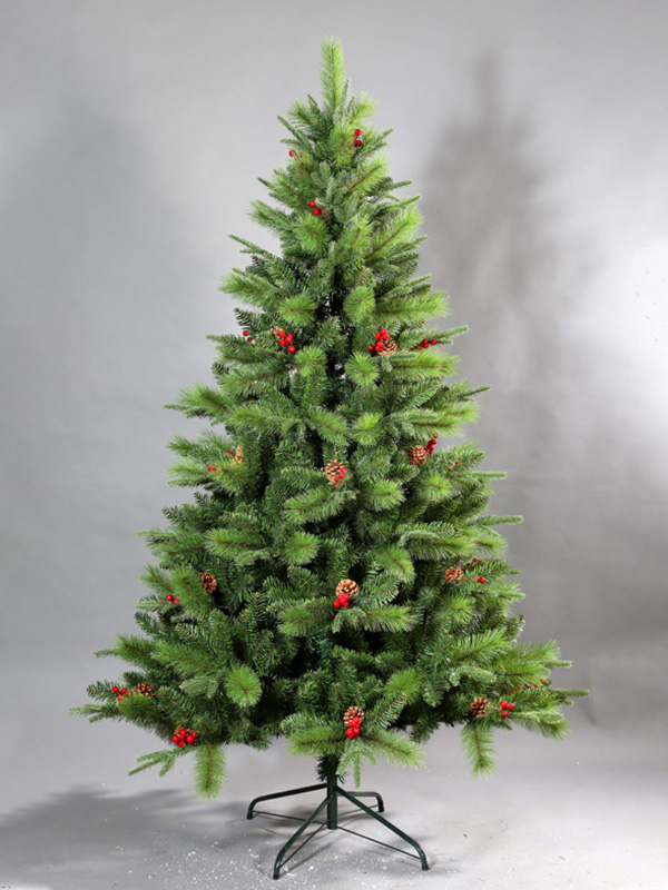 Pokok Krismas biasa 9A3A8689
