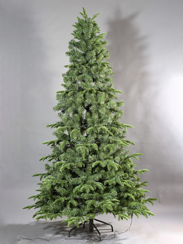 Pokok Krismas biasa 9A3A8694