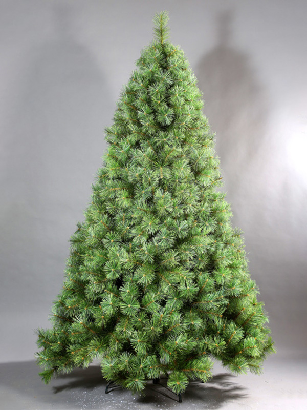 Pokok Krismas biasa 9A3A8699