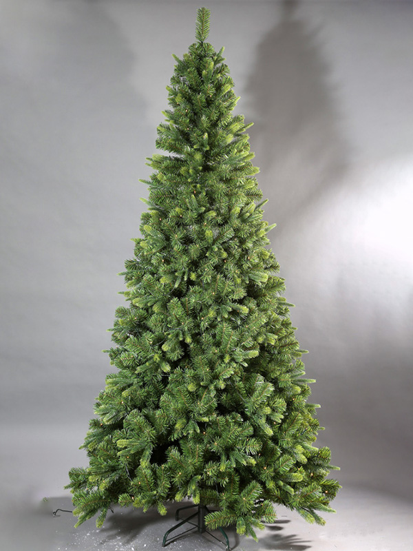 Pokok Krismas biasa 9A3A8712