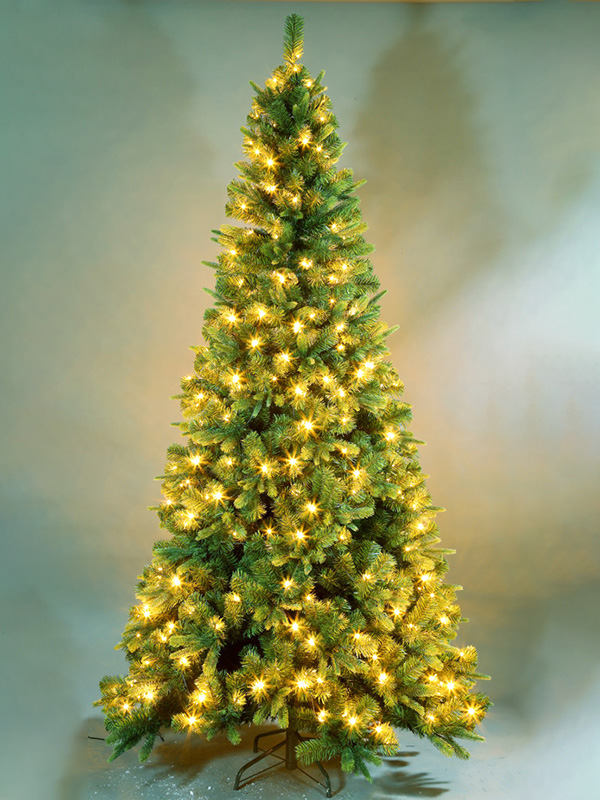 Pokok Krismas biasa 9A3A8713