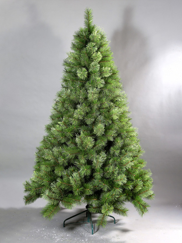 Pokok Krismas biasa 9A3A8715