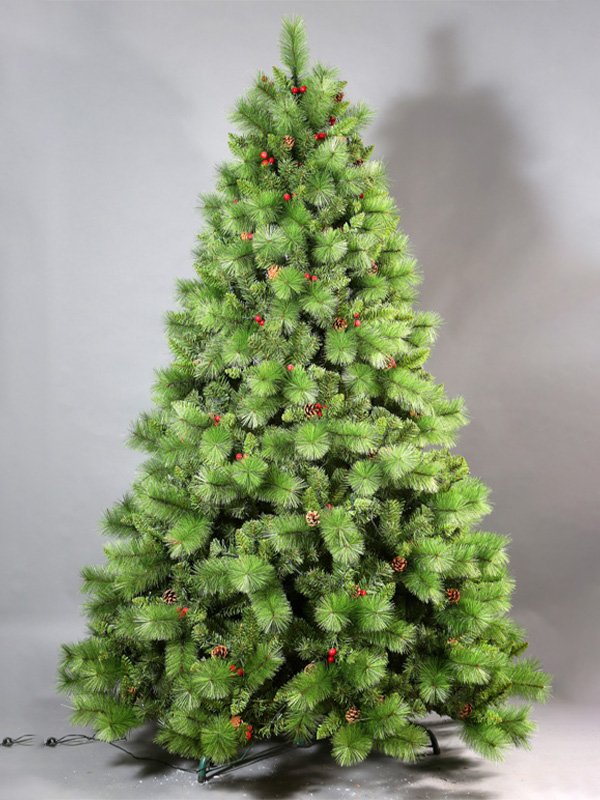 Pokok Krismas biasa 9A3A8725