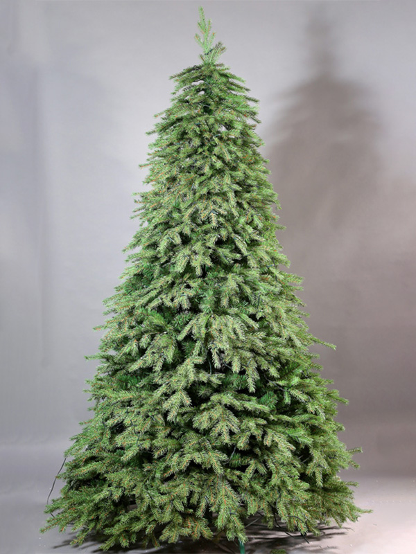 Pokok Krismas biasa 9A3A8732