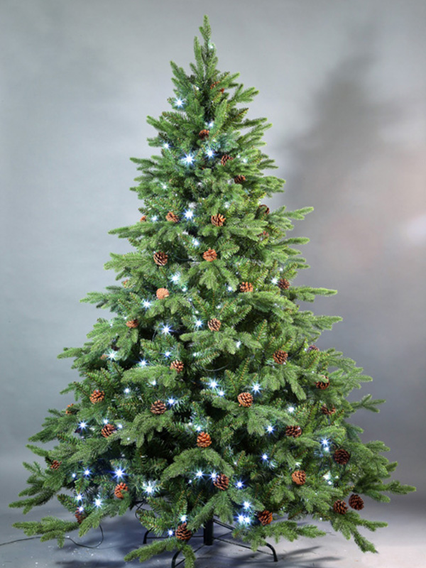 Pokok Krismas Biasa 9A3A8745