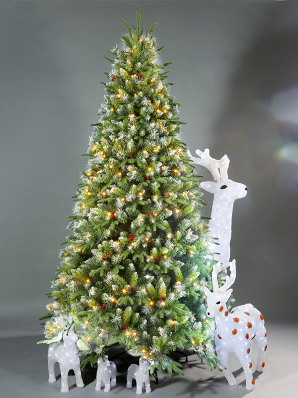 Pokok Krismas Biasa 9A3A8754