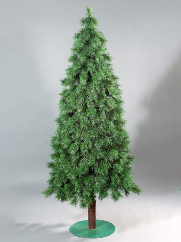 Pokok Krismas biasa 9A3A8772