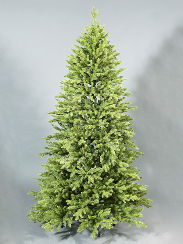 Pokok Krismas biasa 9A3A8856