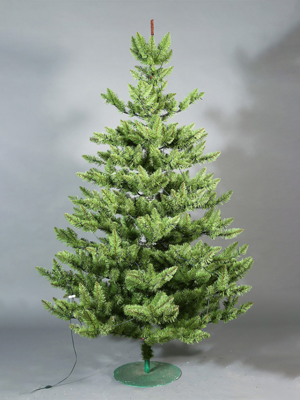 Pokok Krismas biasa 9A3A8865