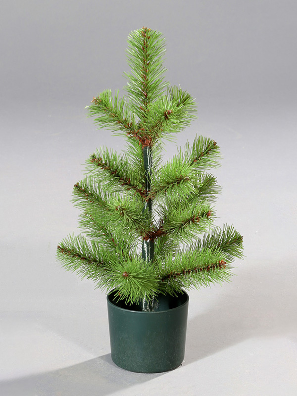 Pokok Krismas Berpasu 9A3A8834