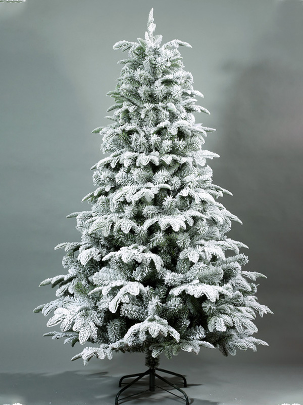 Pokok Salji Krismas 9A3A8531