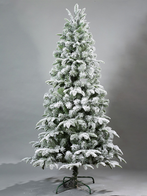 Pokok Salji Krismas 9A3A8536