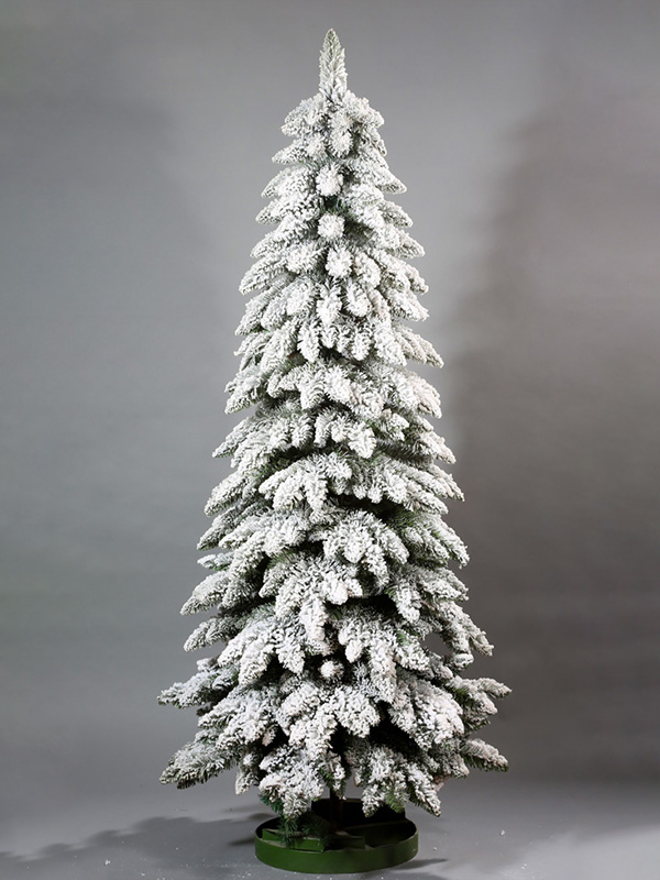Pokok Salji Krismas 9A3A8553