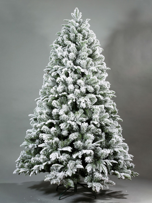 Pokok Salji Krismas 9A3A8559