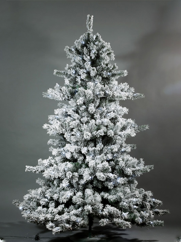 Pokok Salji Krismas 9A3A8574