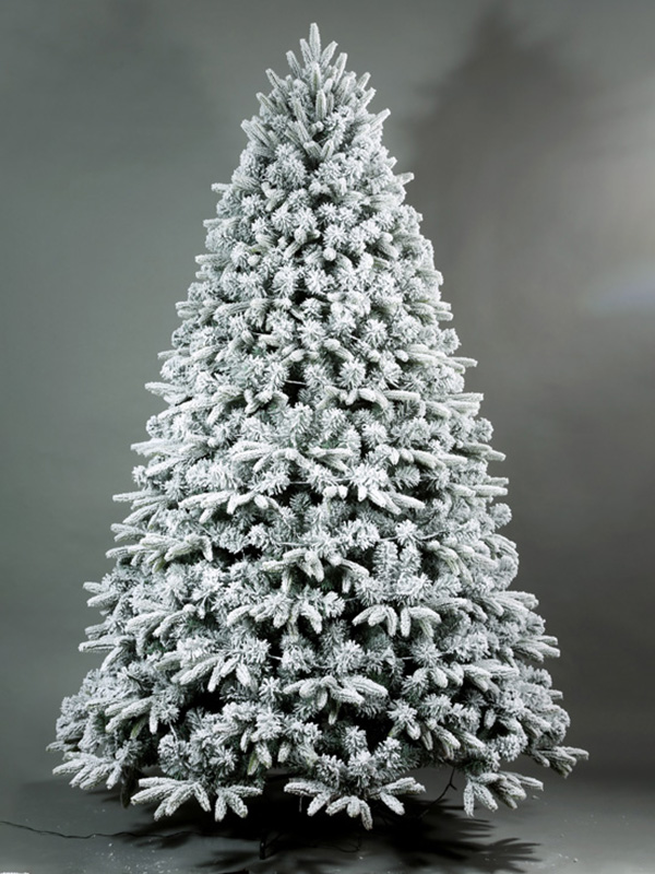 Pokok Salji Krismas 9A3A8577