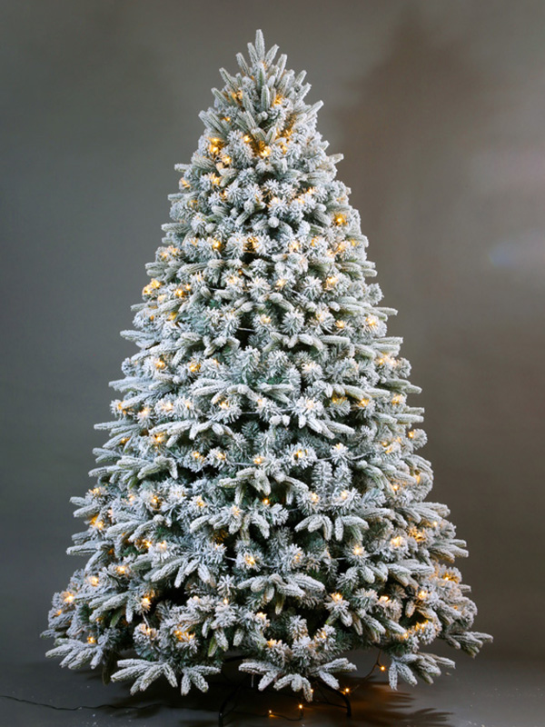 Pokok Salji Krismas 9A3A8581