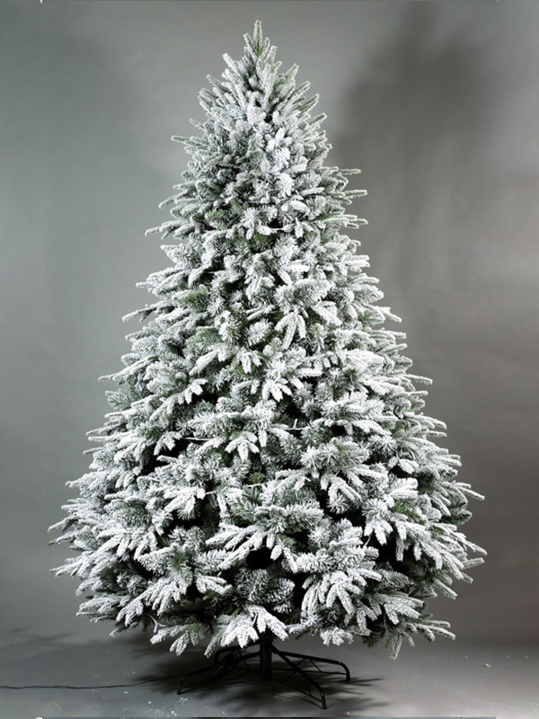 Pokok Salji Krismas 9A3A8582