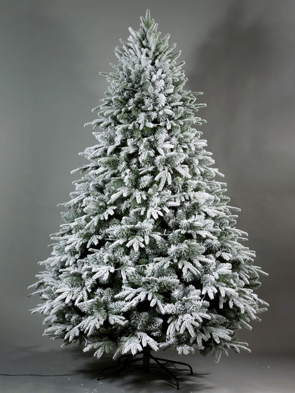 Pokok Salji Krismas 9A3A8583