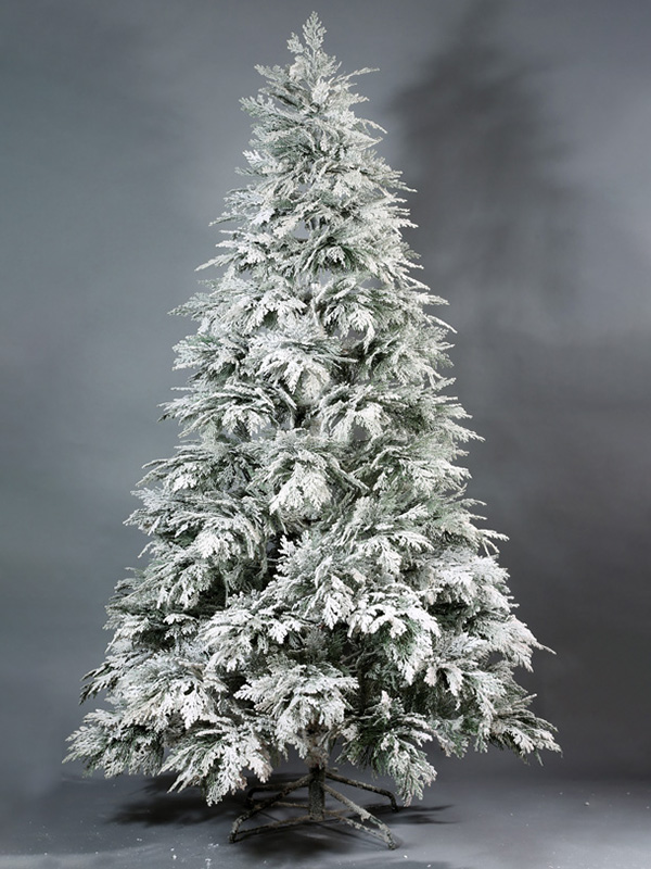 Pokok Salji Krismas 9A3A8589