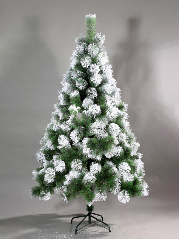 Pokok Salji Krismas 9A3A8685