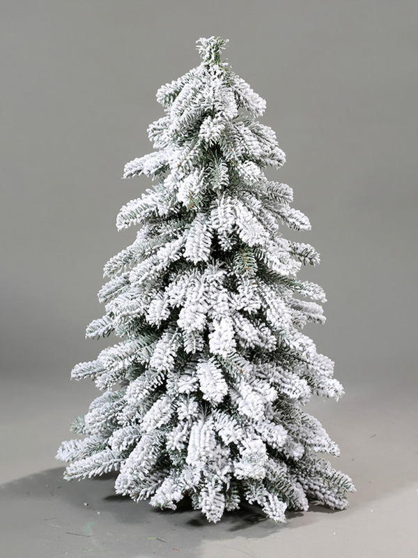 Pokok Salji Krismas 9A3A8776