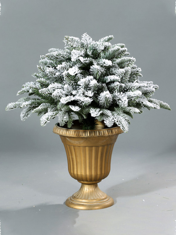 Pokok Salji Krismas 9A3A8779