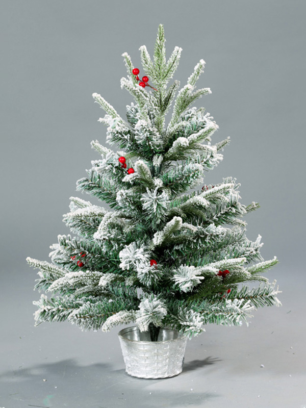 Pokok Salji Krismas 9A3A8780
