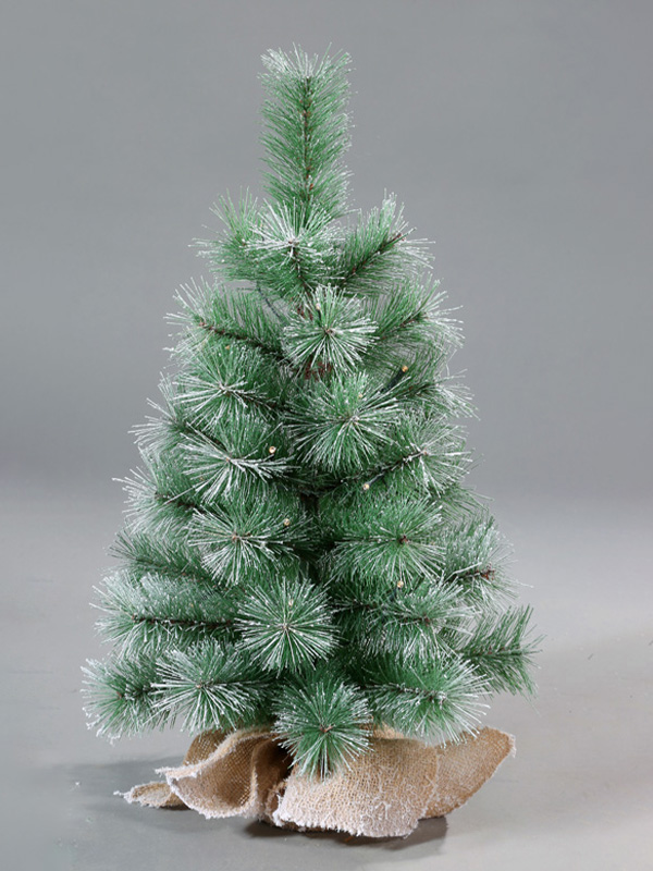 Pokok Salji Krismas 9A3A8820