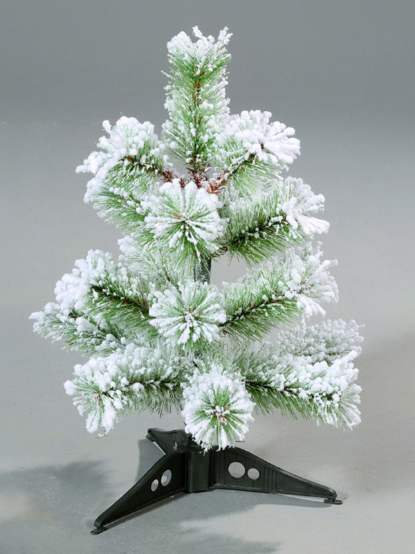 Pokok Salji Krismas 9A3A8839