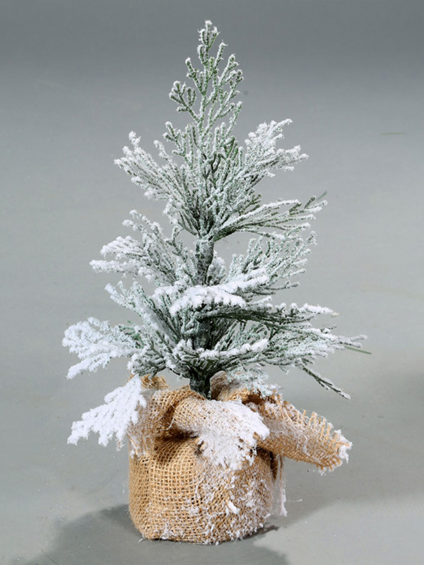 Pokok Salji Krismas 9A3A8840